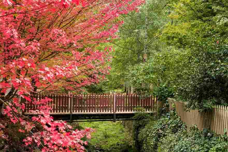 Best Autumn Places in Victoria