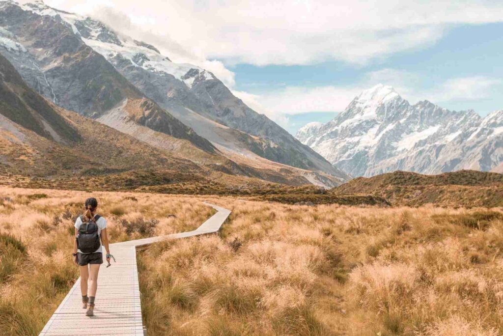 Trail Guide — Hiking Near Auckland Routes, Distance & Tips