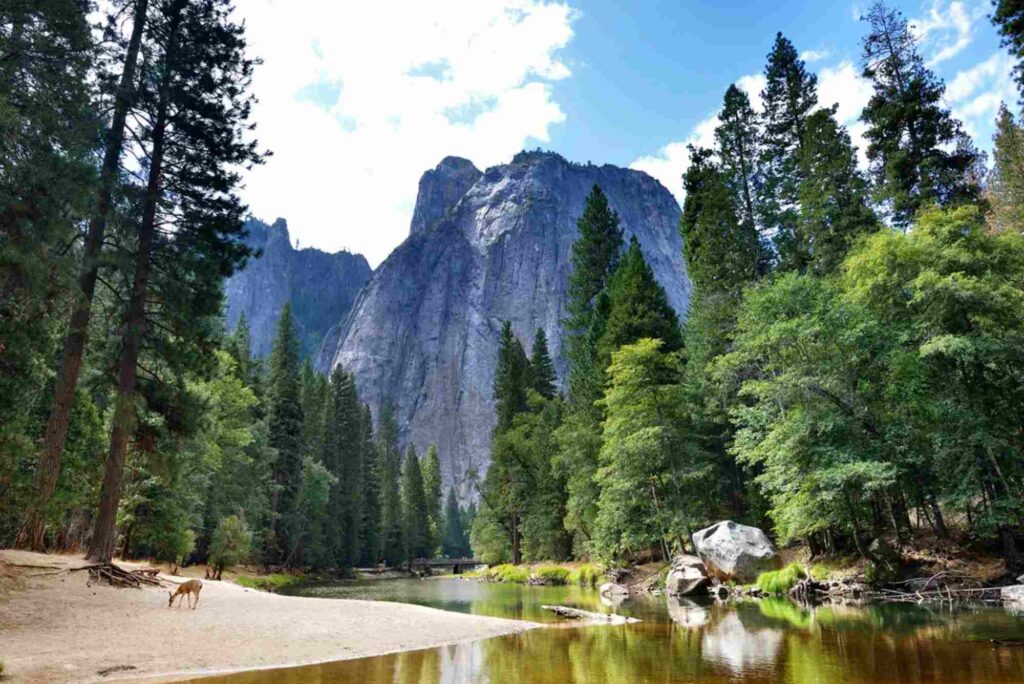 UNESCO Lanes With All-Weather Browsing
